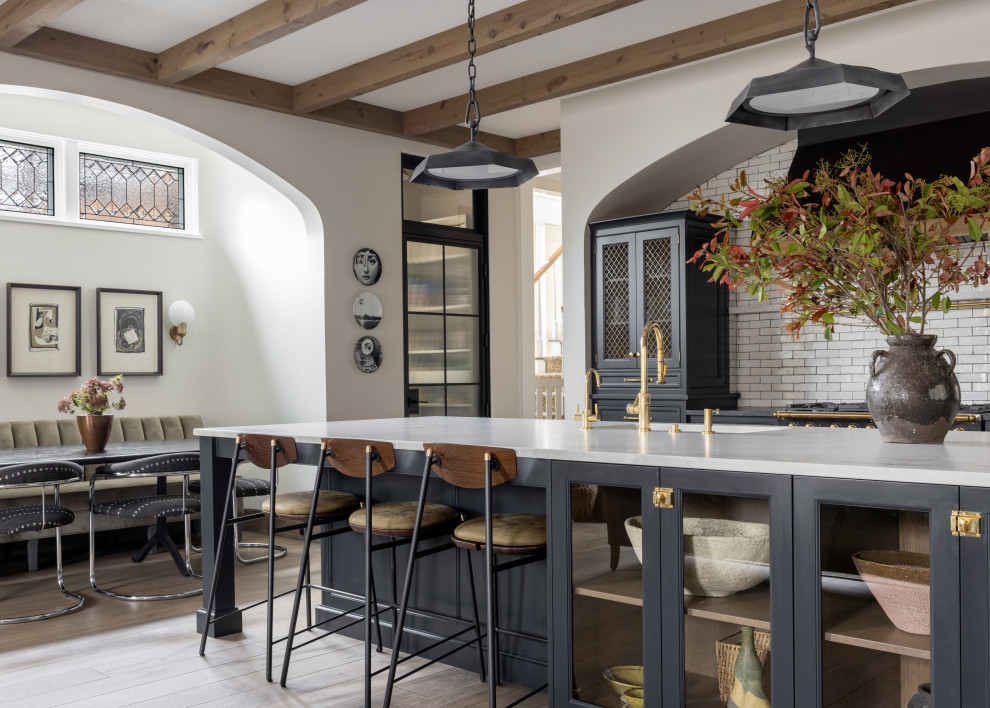 Kitchen - transitional kitchen idea in Chicago