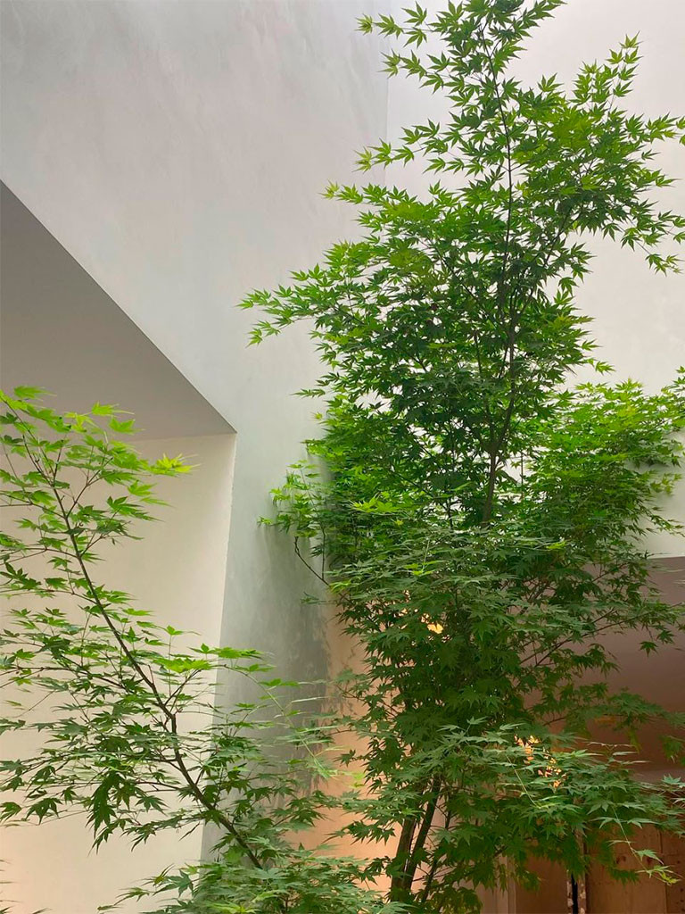 Матовое покрытие из декоративной штукатурки в белом цвете