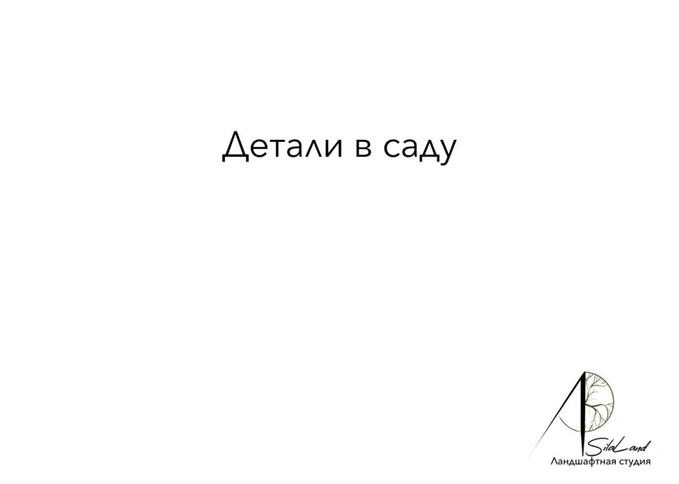 Солнце в кронах