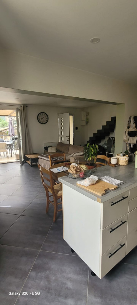 PROJET SALON / CUISINE CARLIZZA