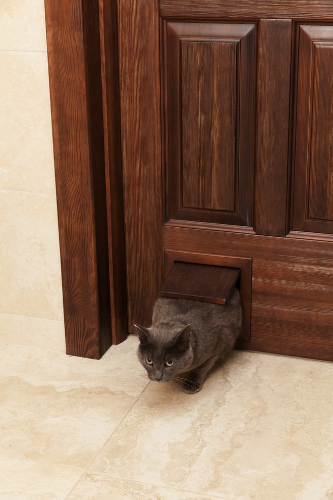 Оттенки дерева