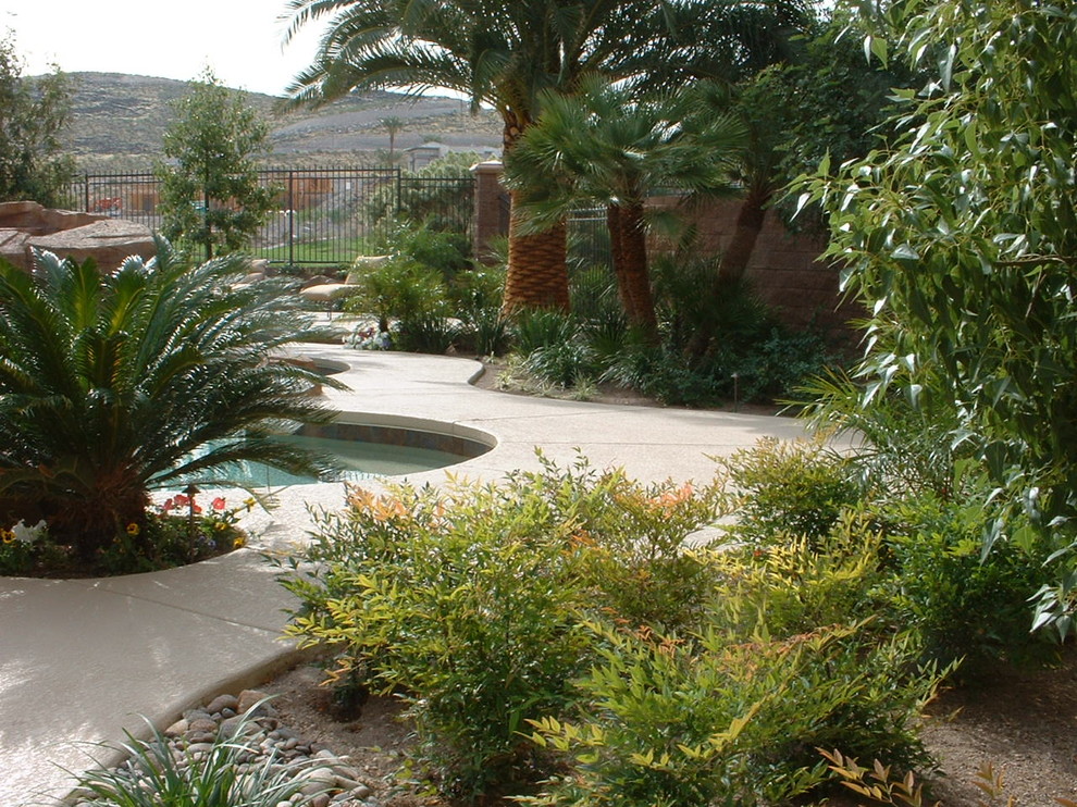 Design ideas for a tropical garden in Las Vegas.