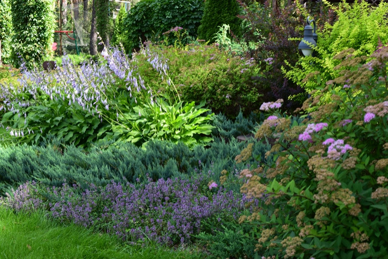 Городецкий район