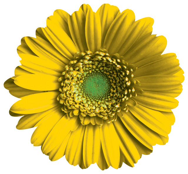 Yellow Daisy Wall Art Farmhouse Metal Wall Art by Next