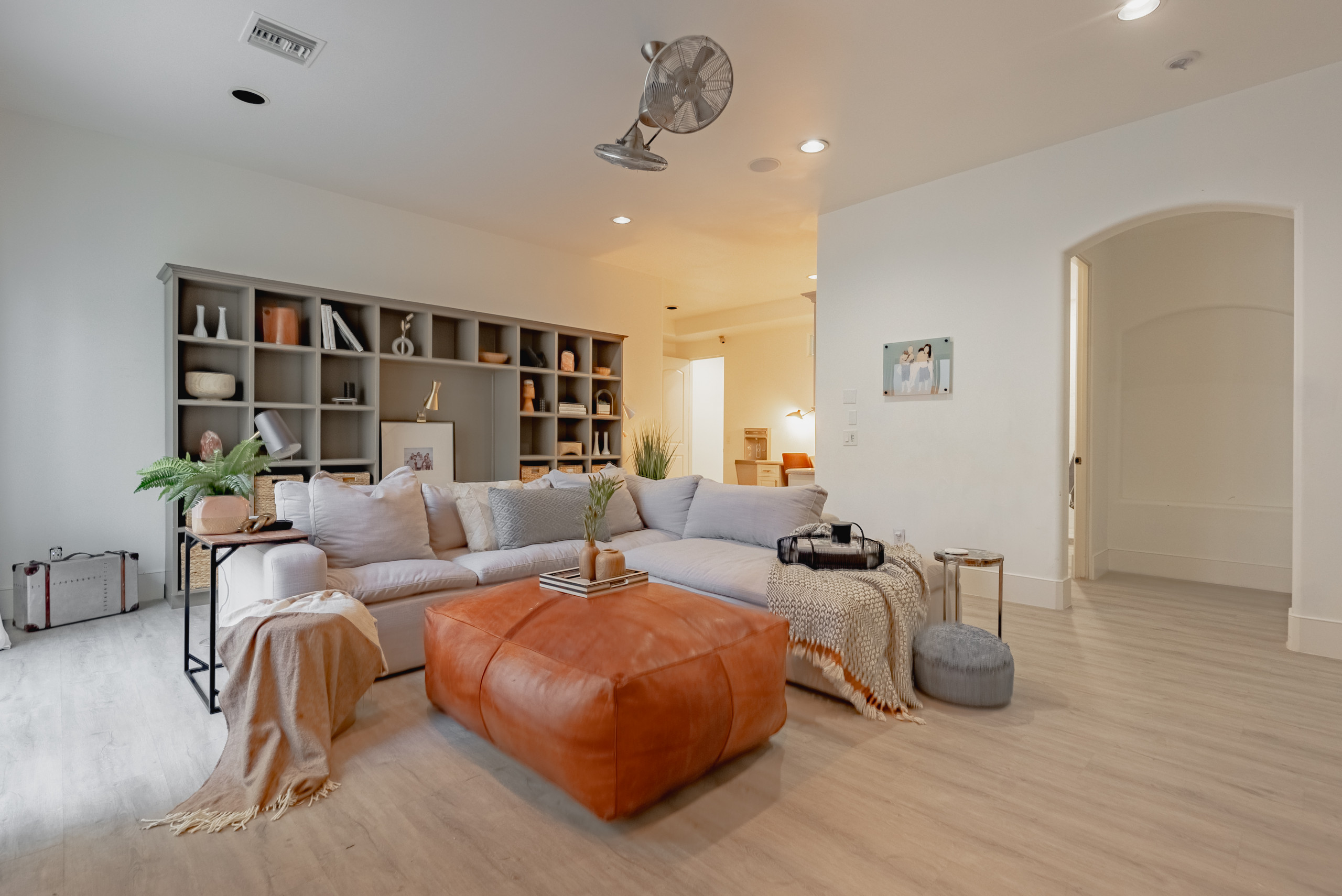 Basement Living Room