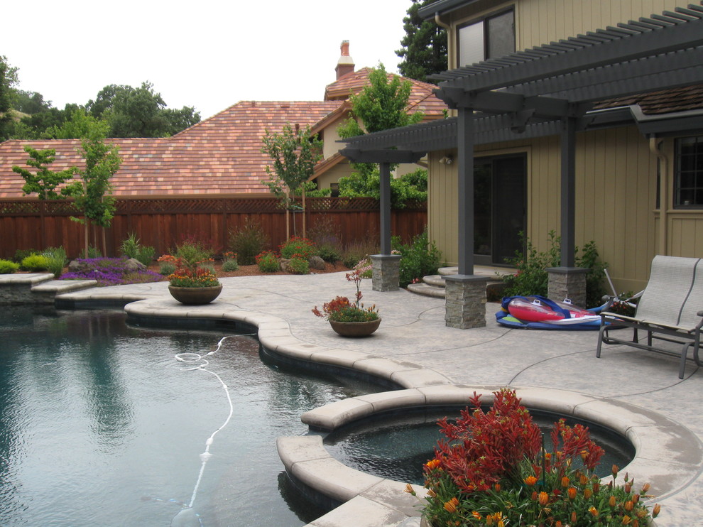 Complete Backyard and Pool Remodel
