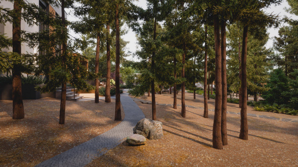 Тропинка в завораживающий лес