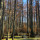 Last commented by Marion_ 6b
