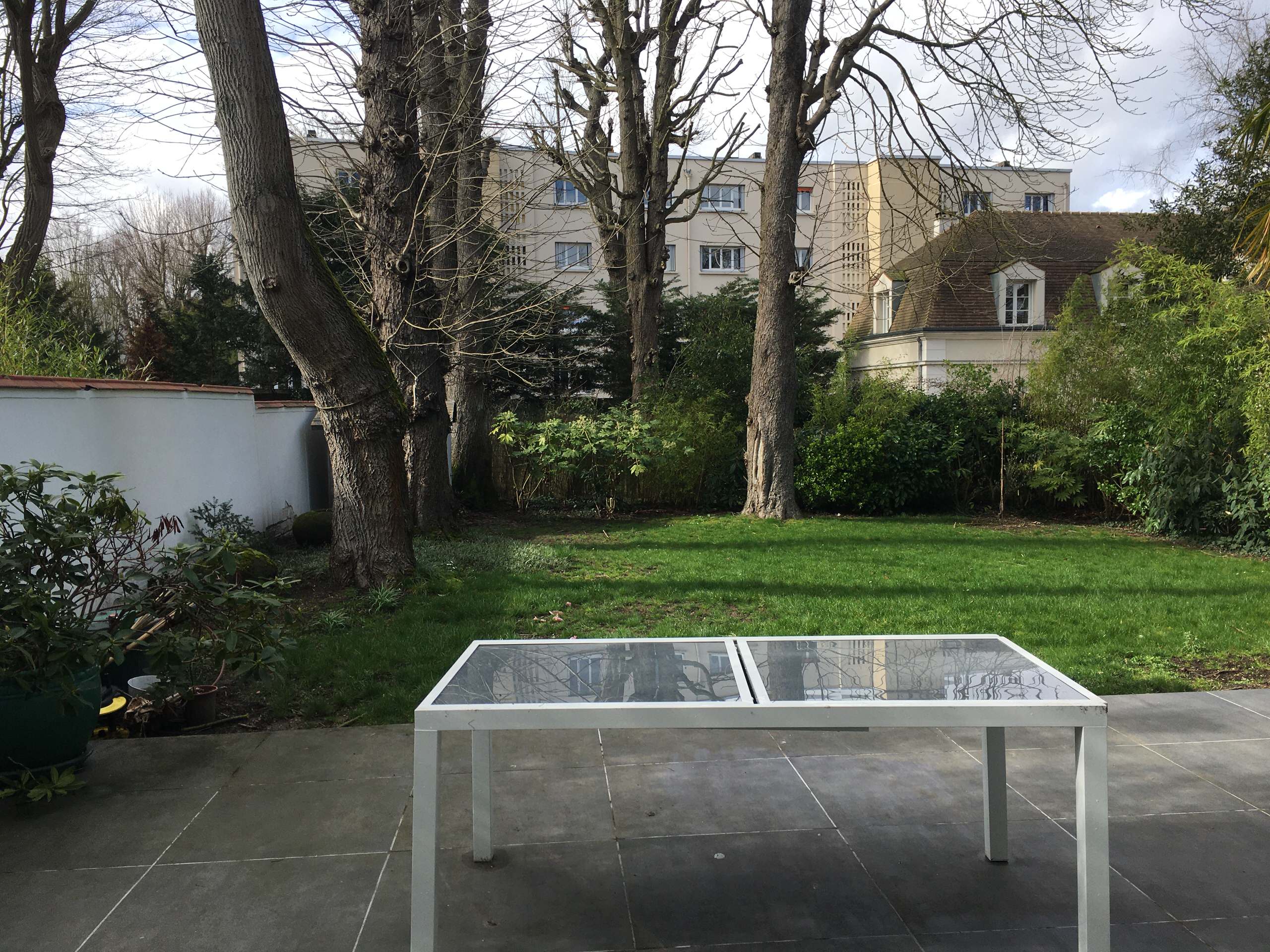Réalisation d'un jardin tropical