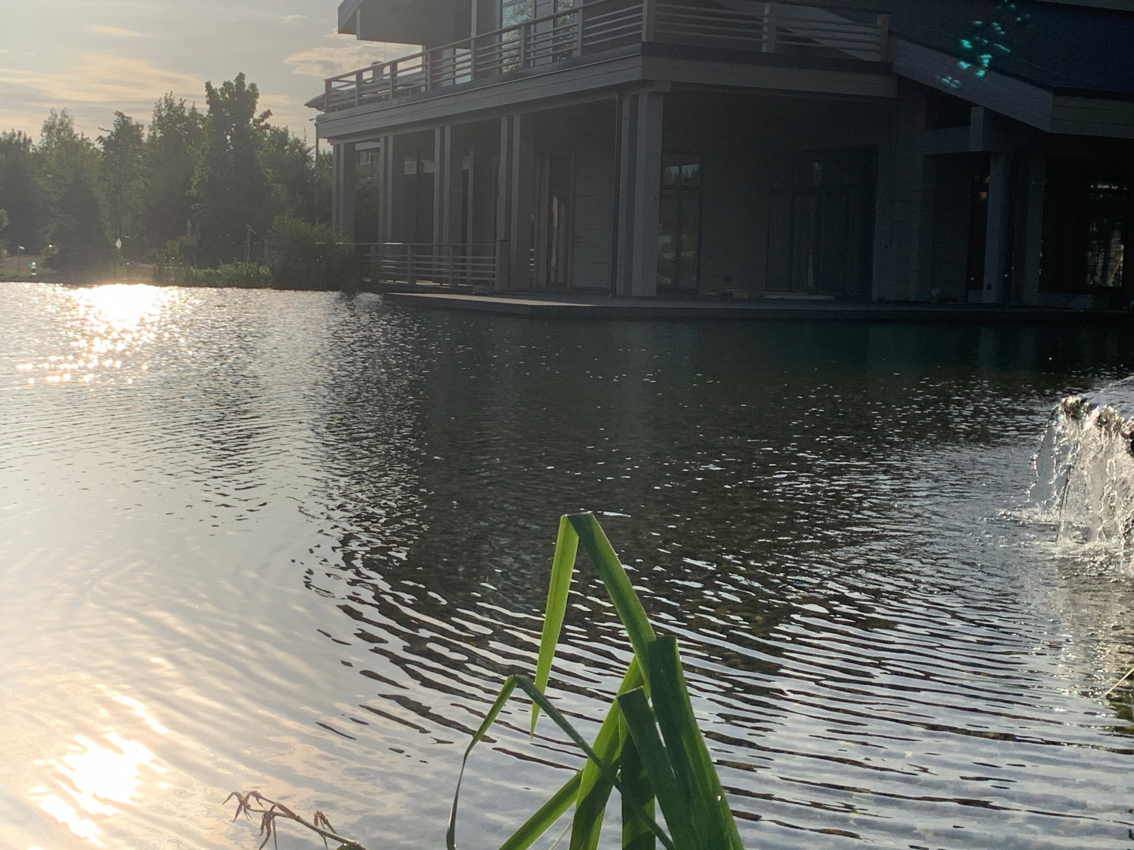 Ландшафт в поселке "Бенилюкс"