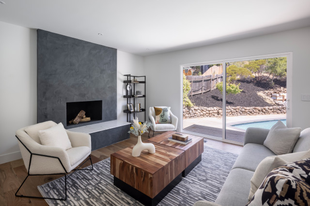 22 Viscaino contemporary-living-room