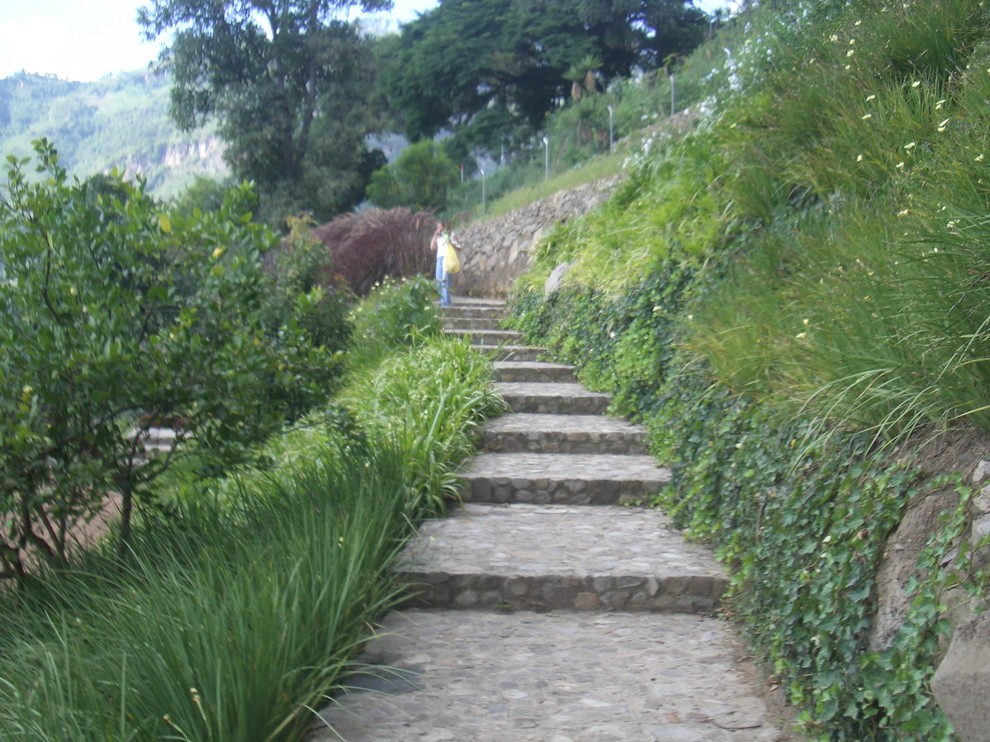 Retaining Wall Planter