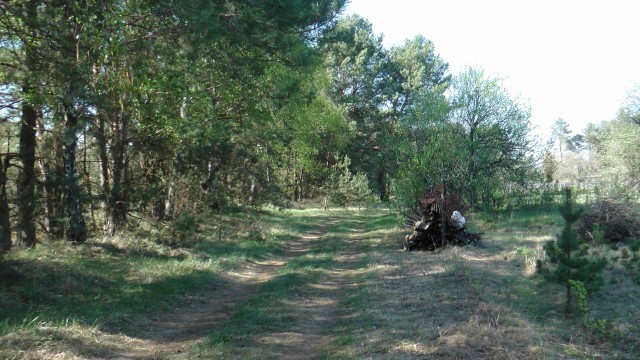 Загородный дом. Брест. Беларусь. 2015 год.