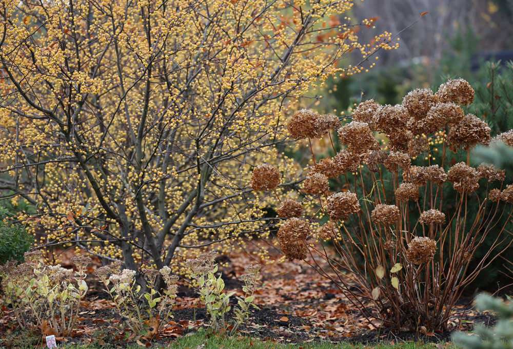 В центре круга