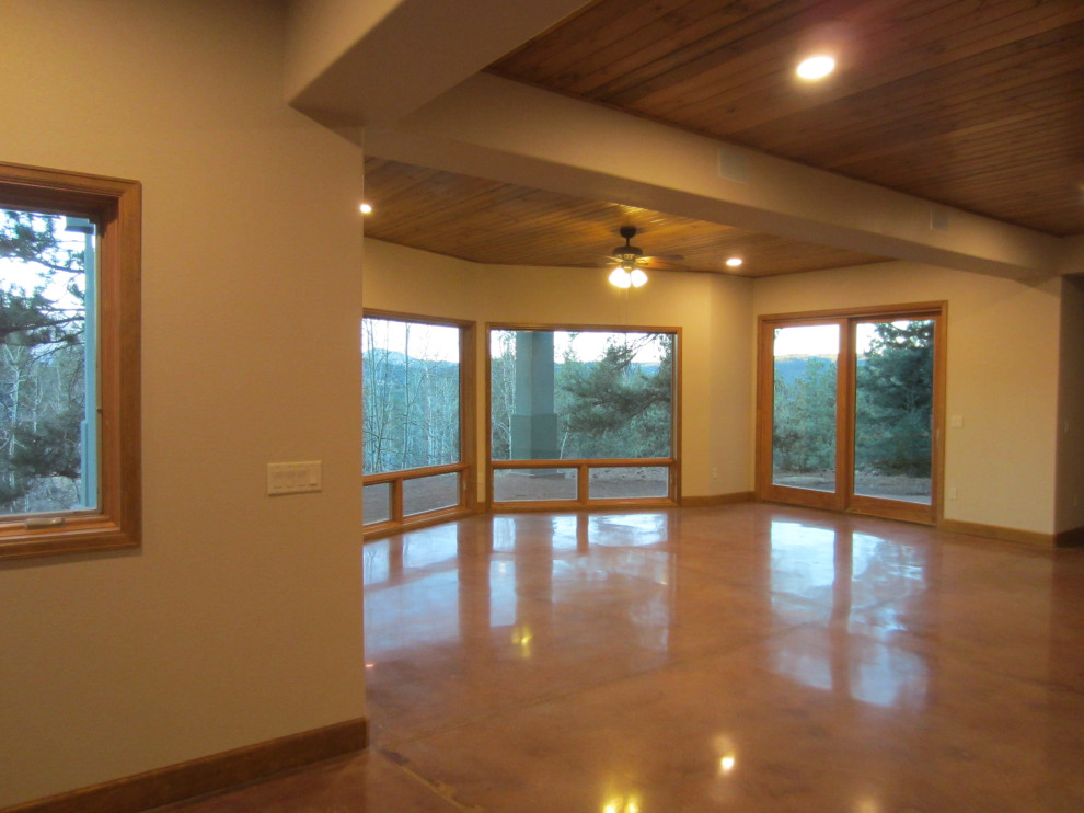 Basement finish Woodland Park