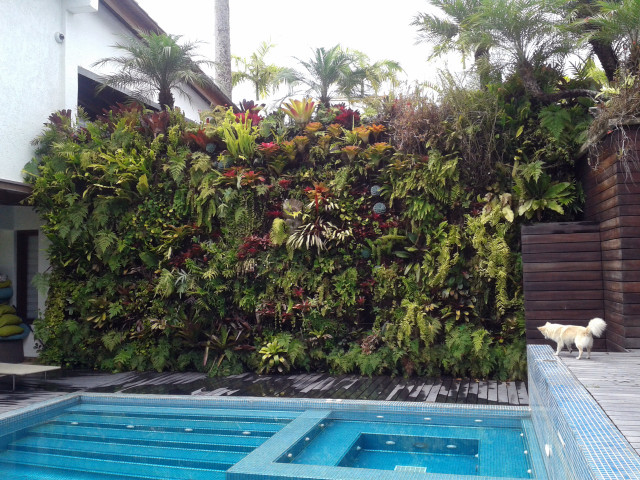 Piscina contemporaneo-piscina