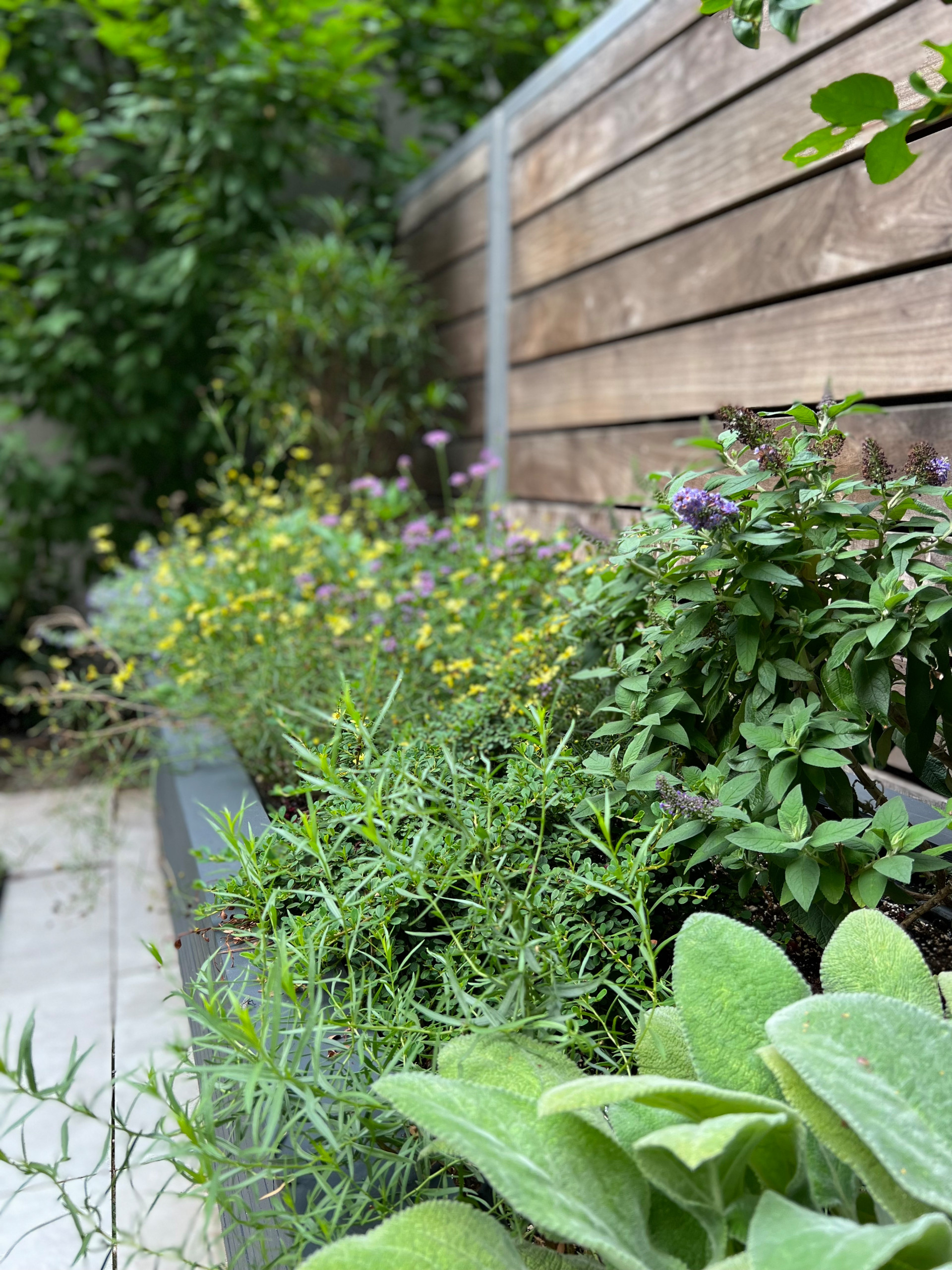 Williamsburg Terrace Garden