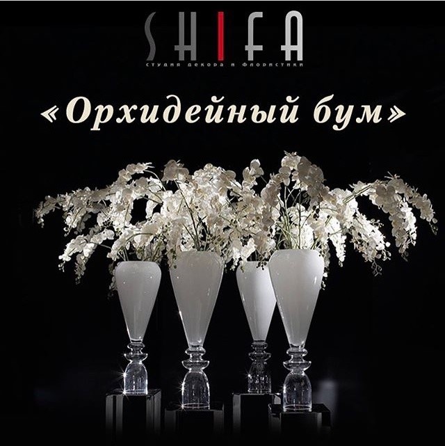"ОРХИДЕЙНЫЙ БУМ" В SHIFA