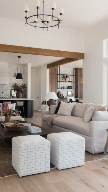 Bright and Airy Living Room Design fusion-living-room