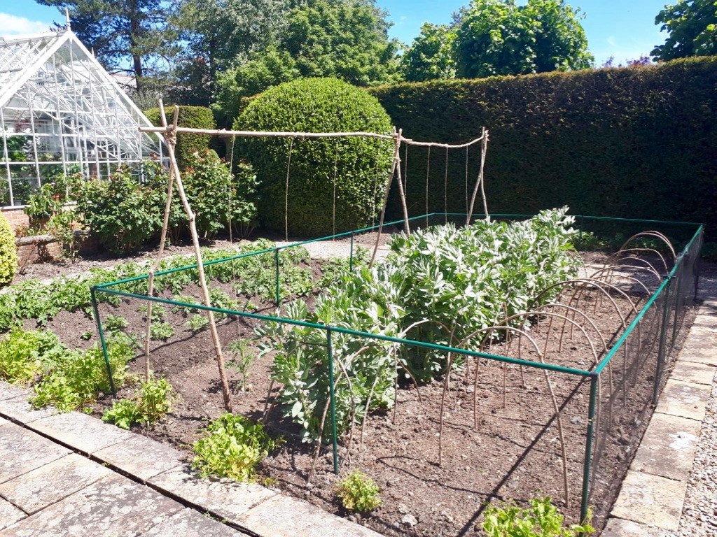 Vegetable Garden Maintenance Project