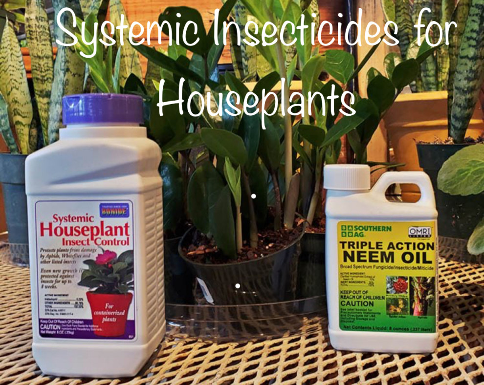 Systemic Insecticide for Houseplants