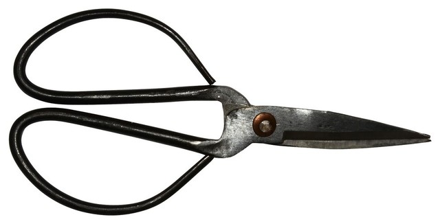Iron Flower Snips, Medium