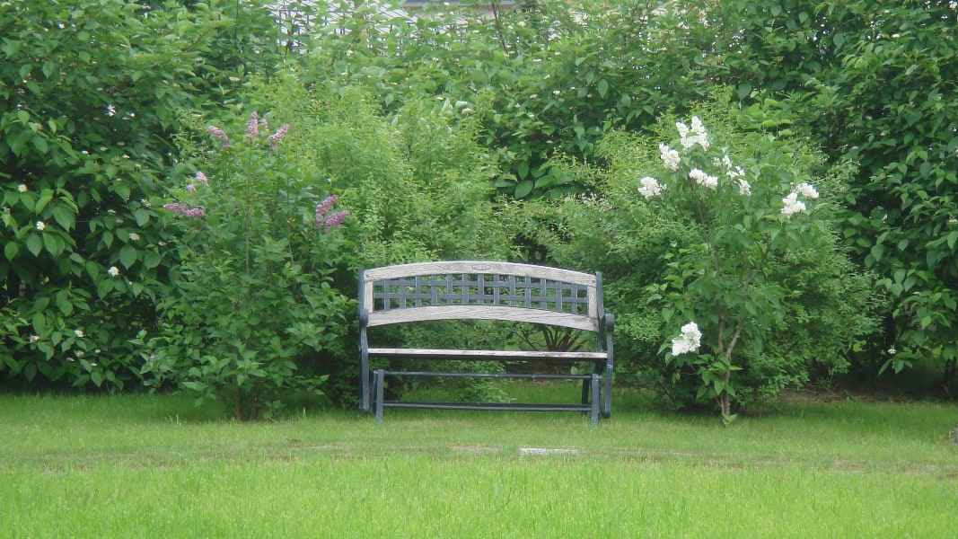 Рублево-Успенское шоссе. 52 сотки.