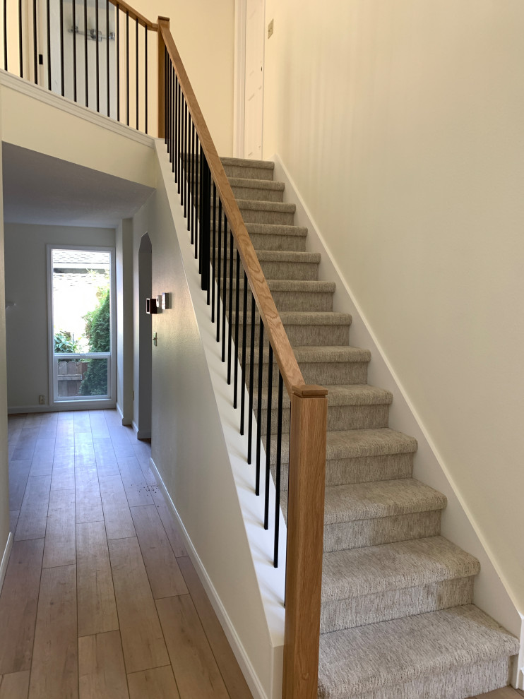 Mid-sized modern carpeted straight staircase in Portland with carpet risers and mixed railing.