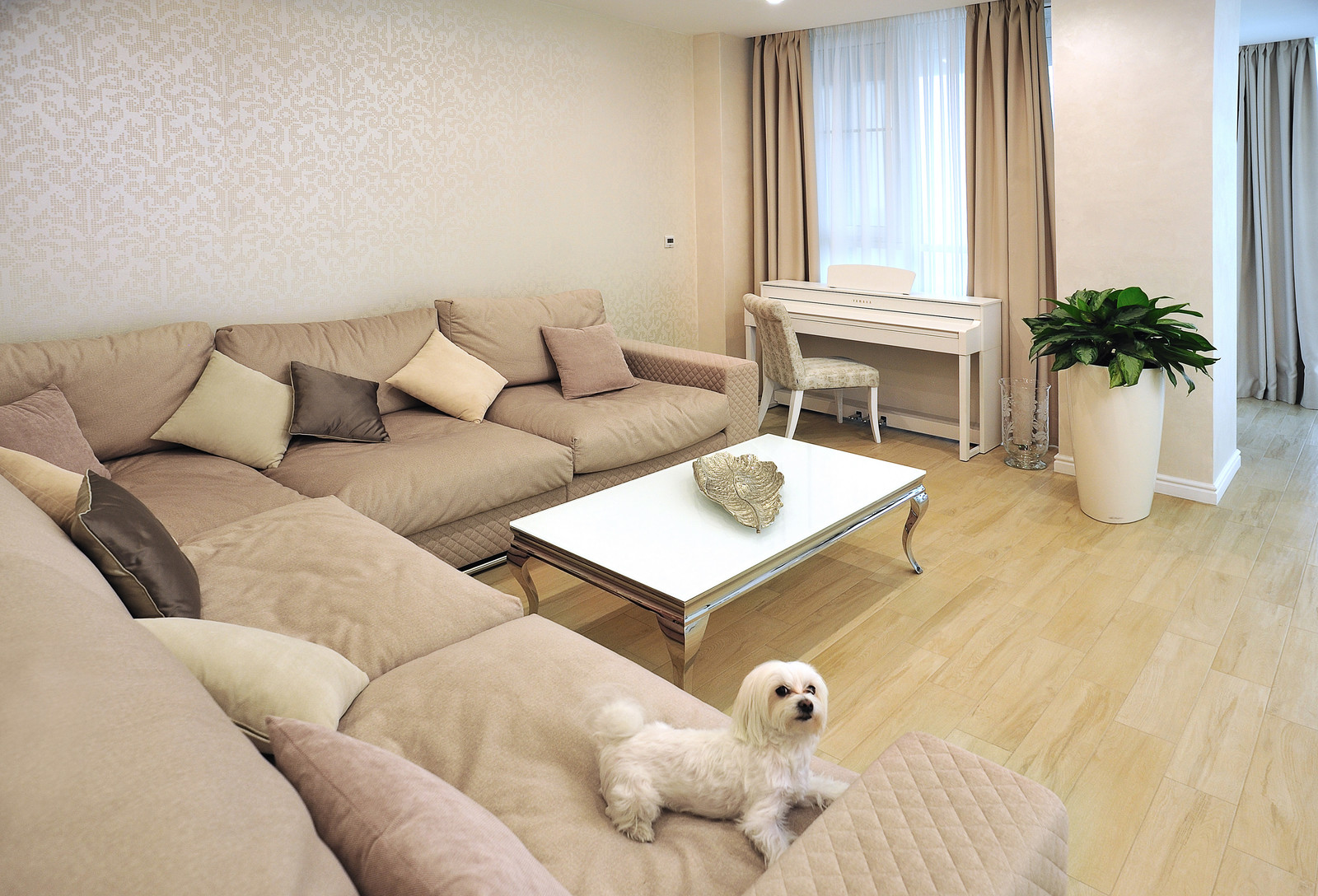 Маленькая страна