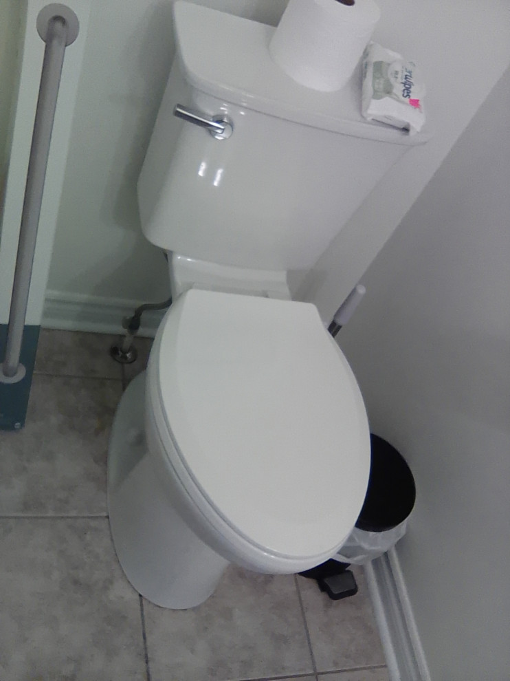 Bathroom Renovation & Accessibility Upgrades