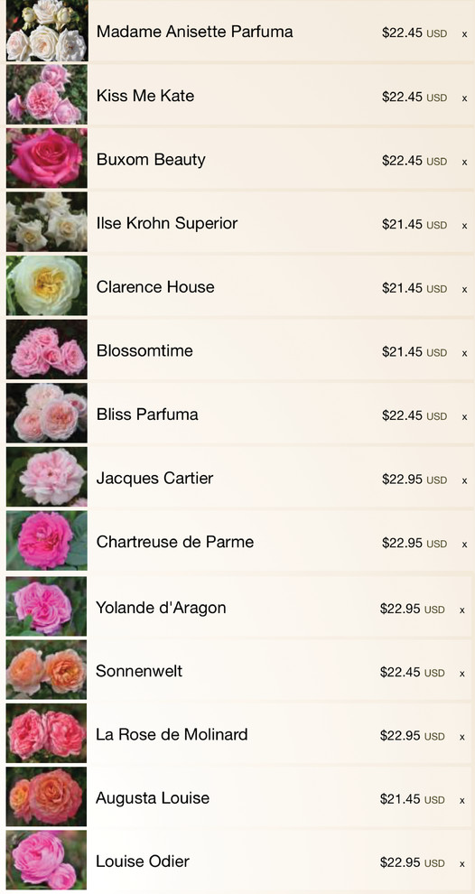 Ordering Roses... Thoughts on the following roses.