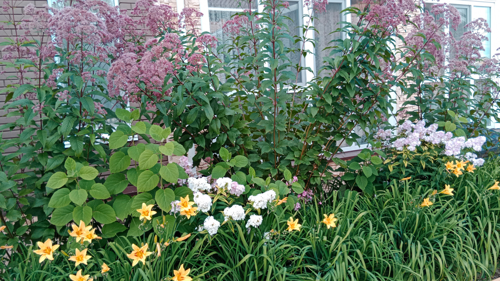 Серебрянный бор