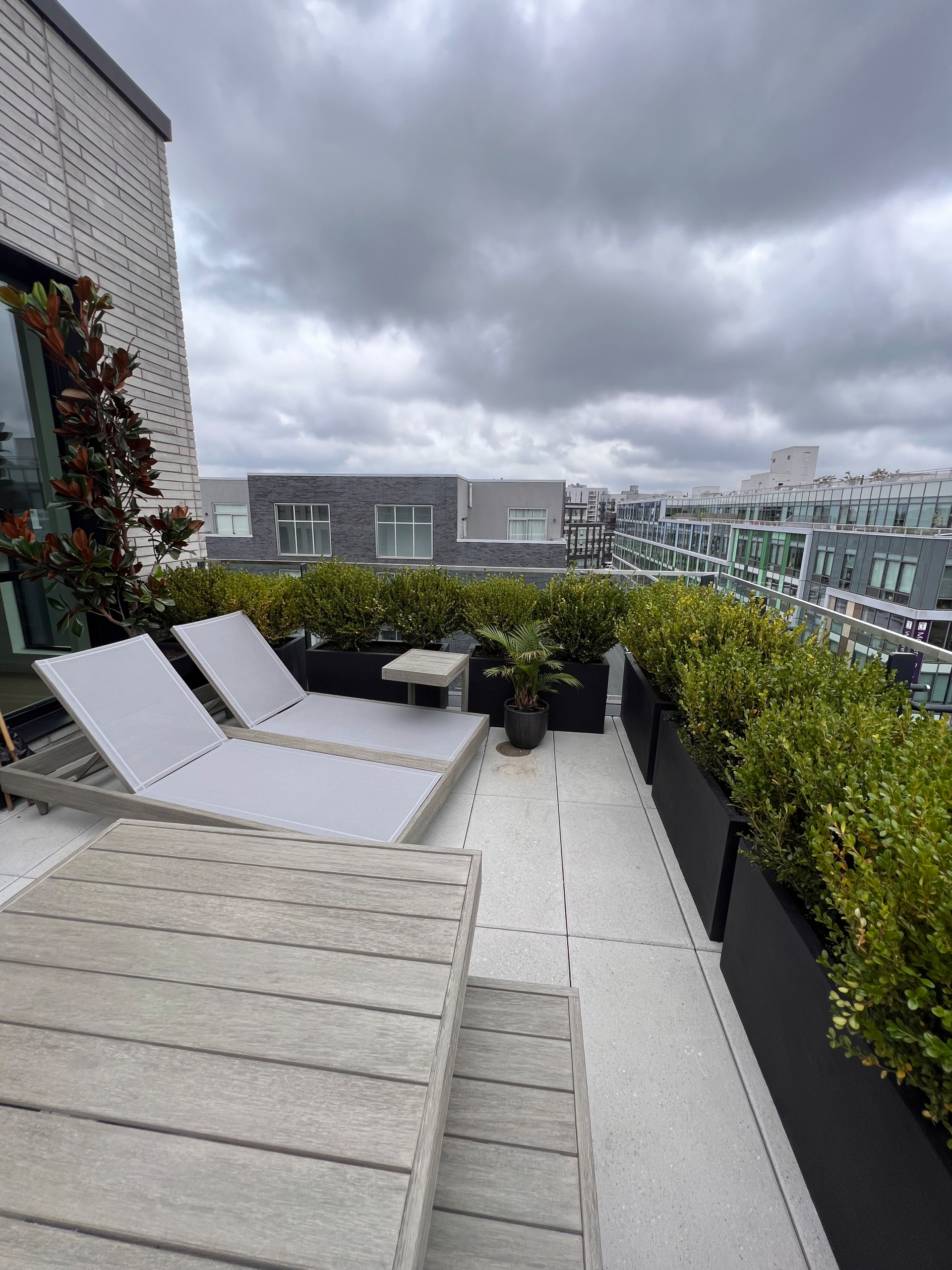 Williamsburg new terrace