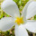 webuser_224443283