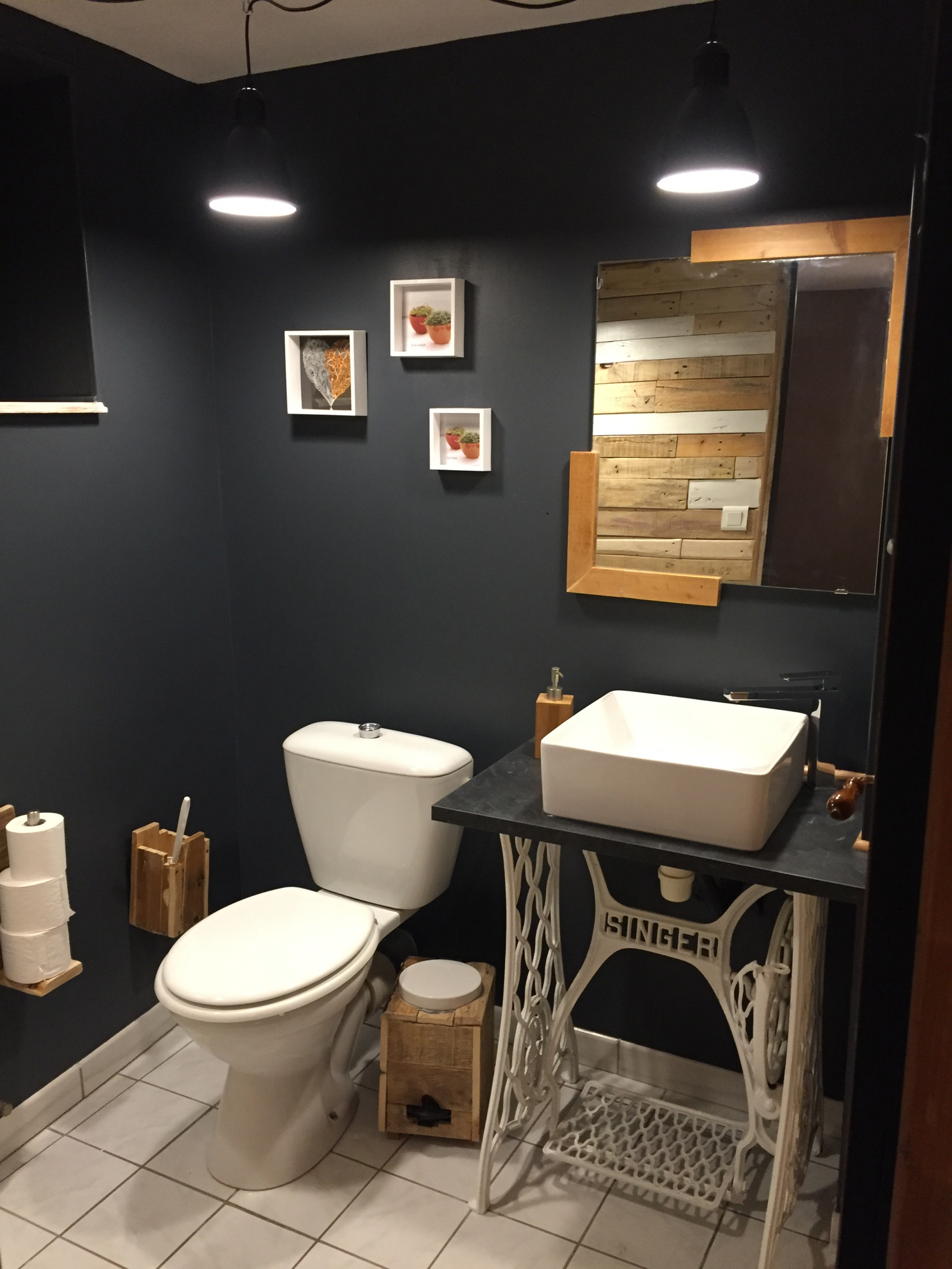 Projet toilette Lacrost
