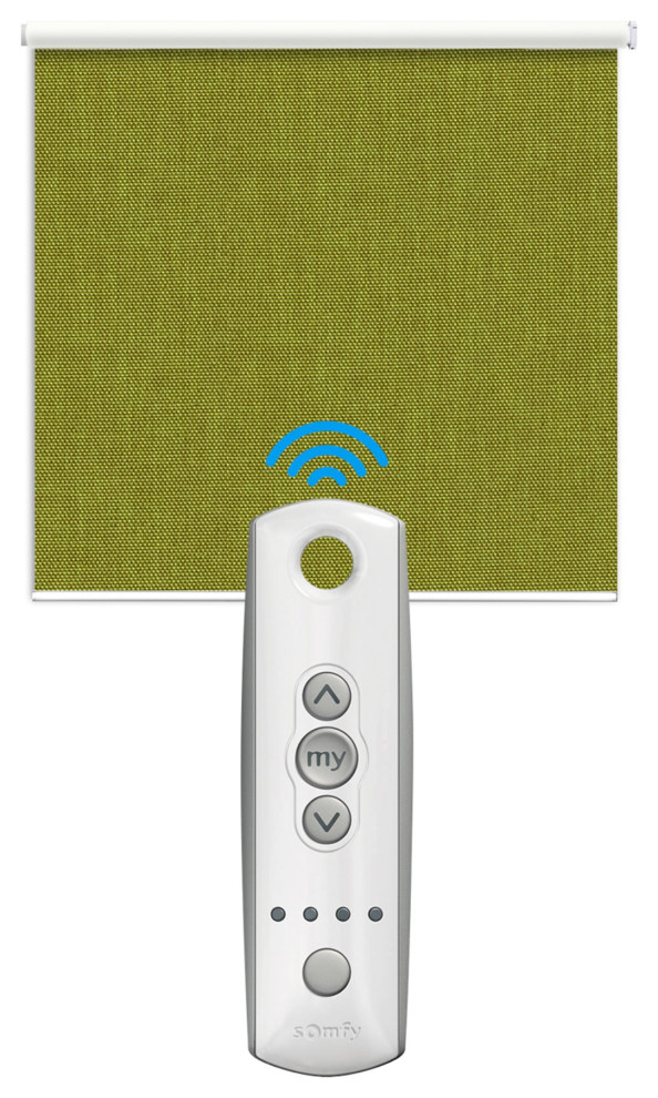 Springblinds SOMFY Motorized 100 Blackout Roller Shade, 20"x72