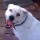 kathy_abshire