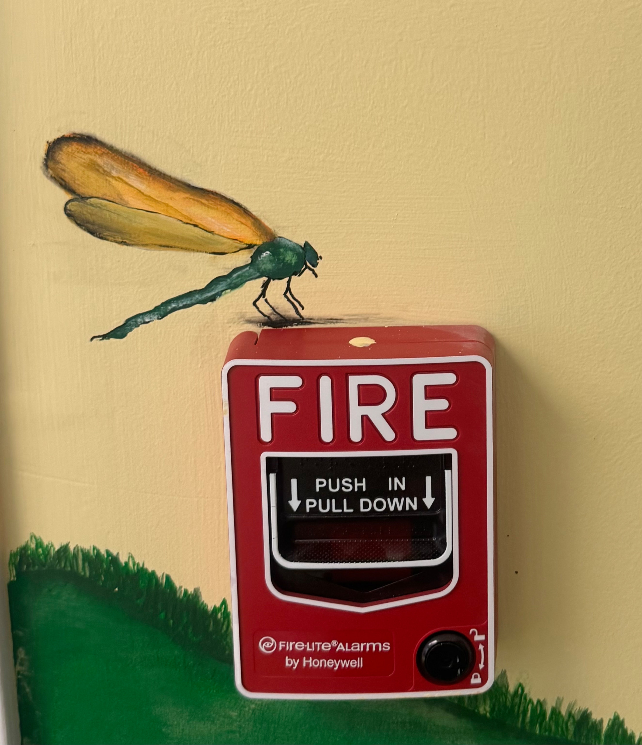 Murals and Decorative Painting