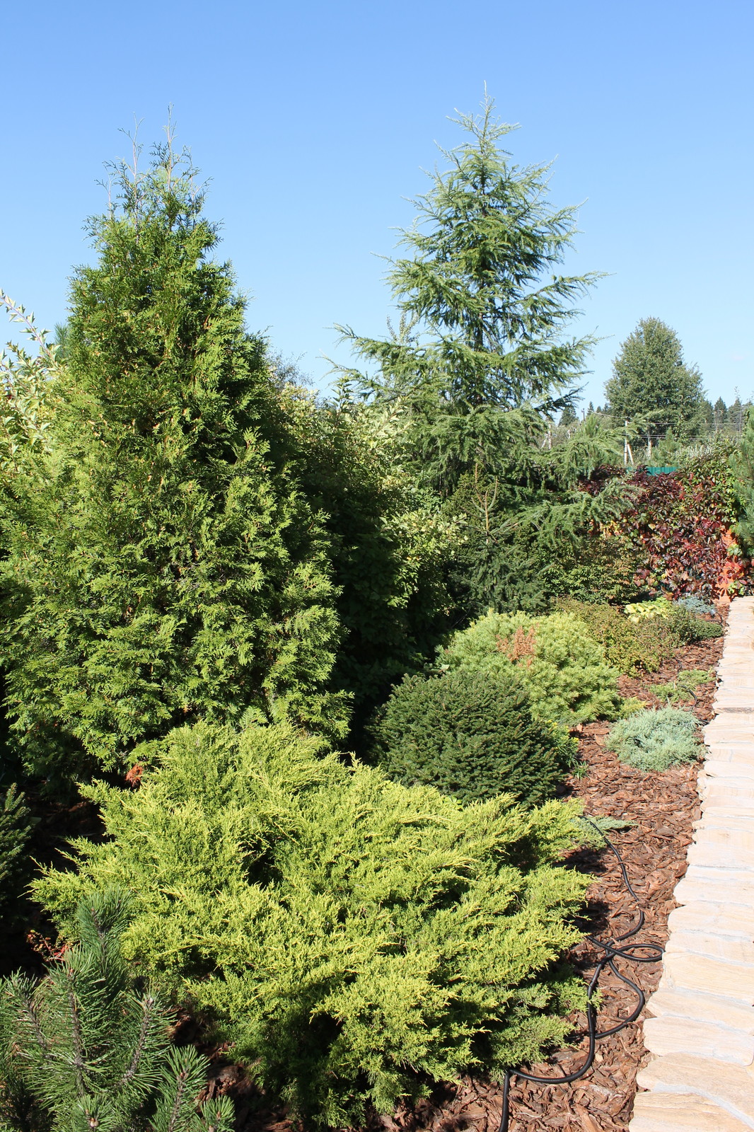 Хутор Брехово