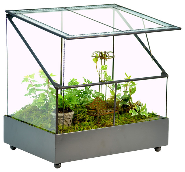 Fairy Garden Display Case Terrarium Traditional Terrariums by H