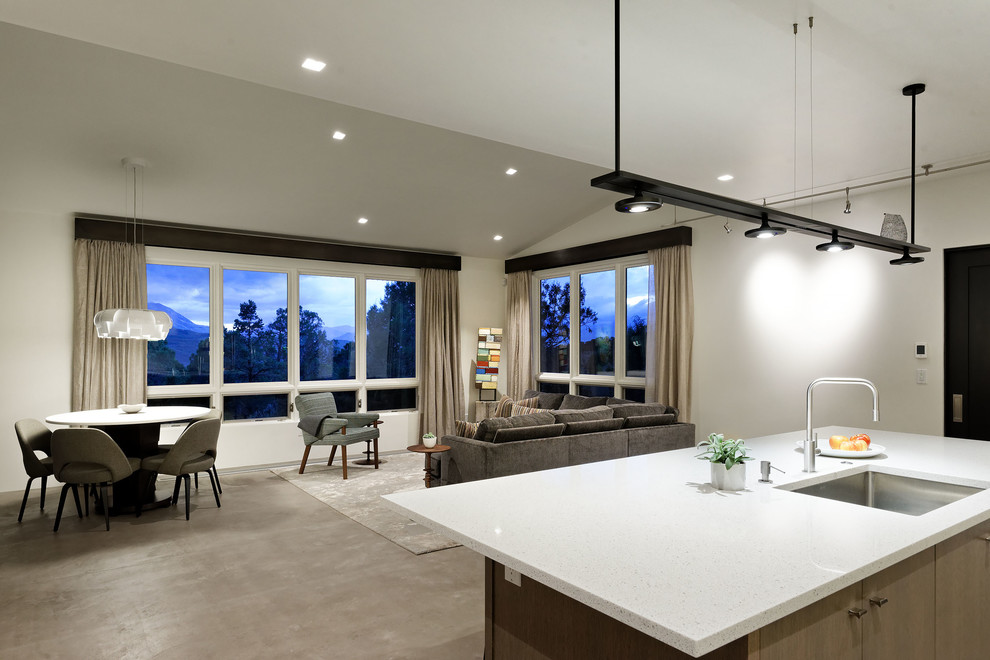 Kitchen - mid-sized modern galley kitchen idea in Denver with an island