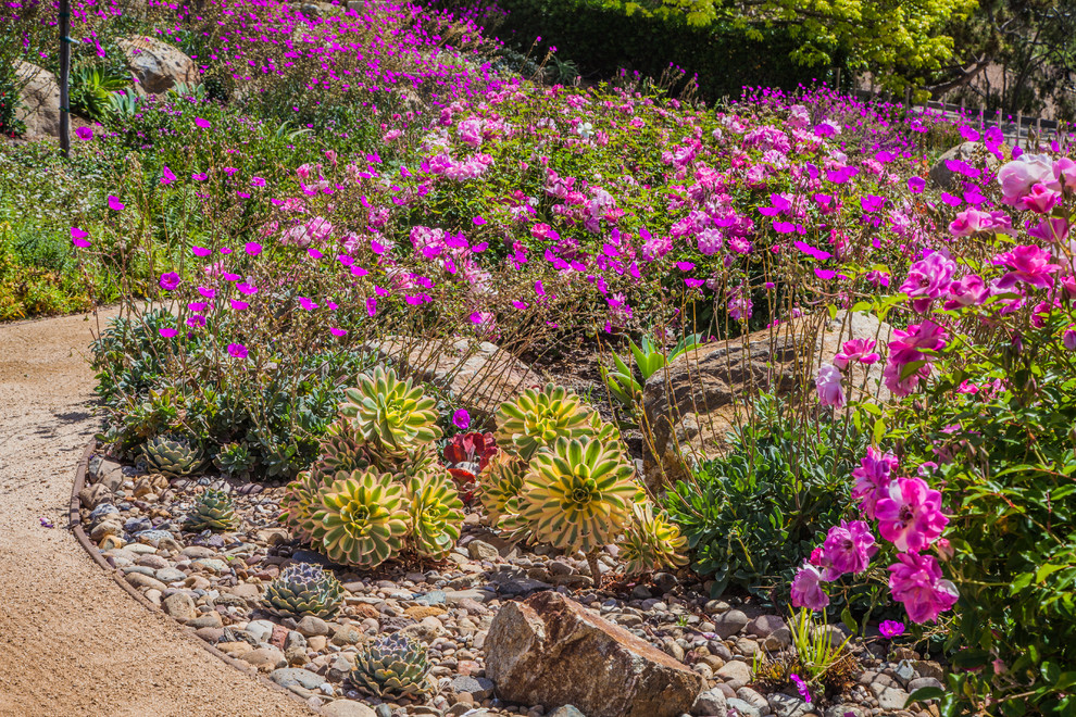 Design ideas for a mediterranean sloped full sun xeriscape for summer in San Diego with a retaining wall and gravel.