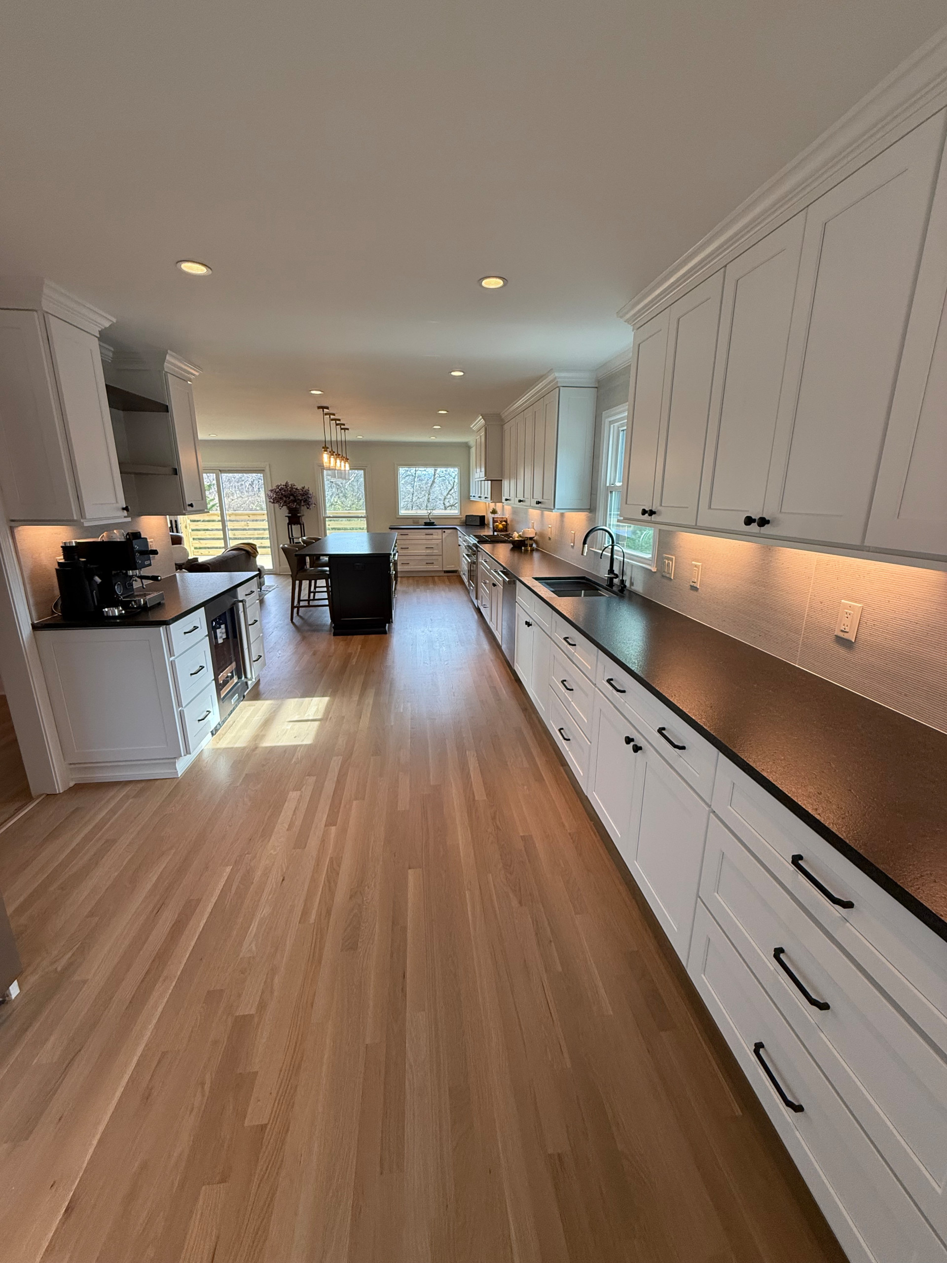 Franklin Complete Kitchen and LR Reno