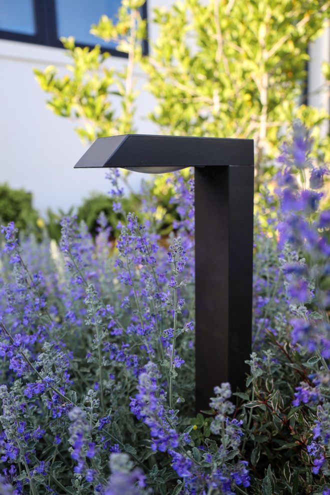 Cette image montre un jardin avant minimaliste avec une exposition partiellement ombragée.
