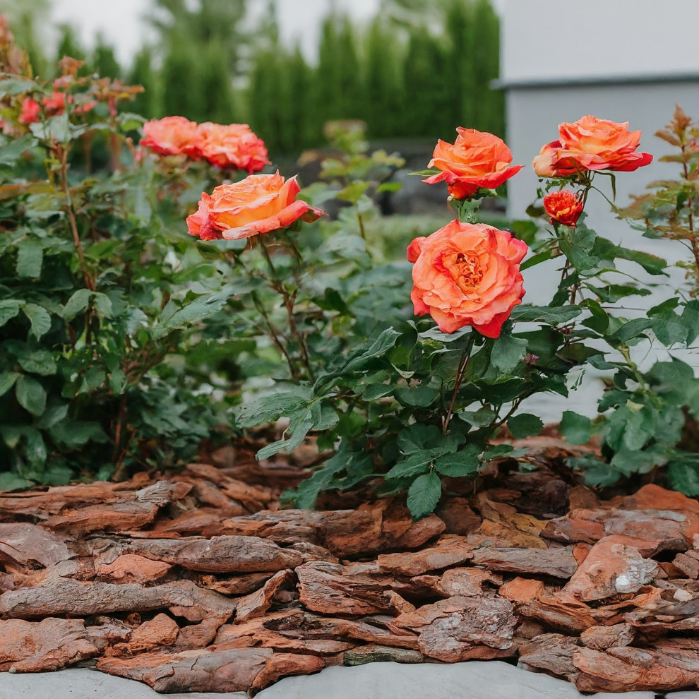 Частный сад 2. Современный