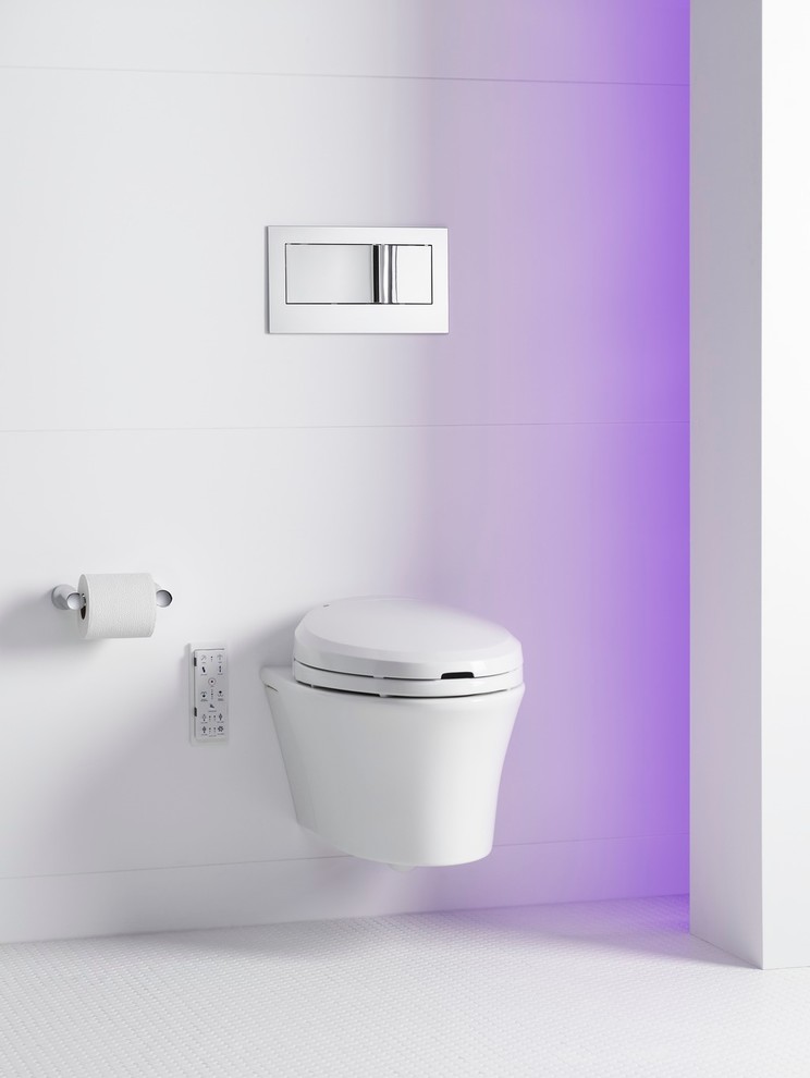 wall mounted toilets for sale