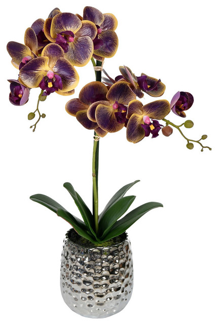 Vickerman 20.5" Artificial Potted Real Touch Purple Phalaenopsis Spray