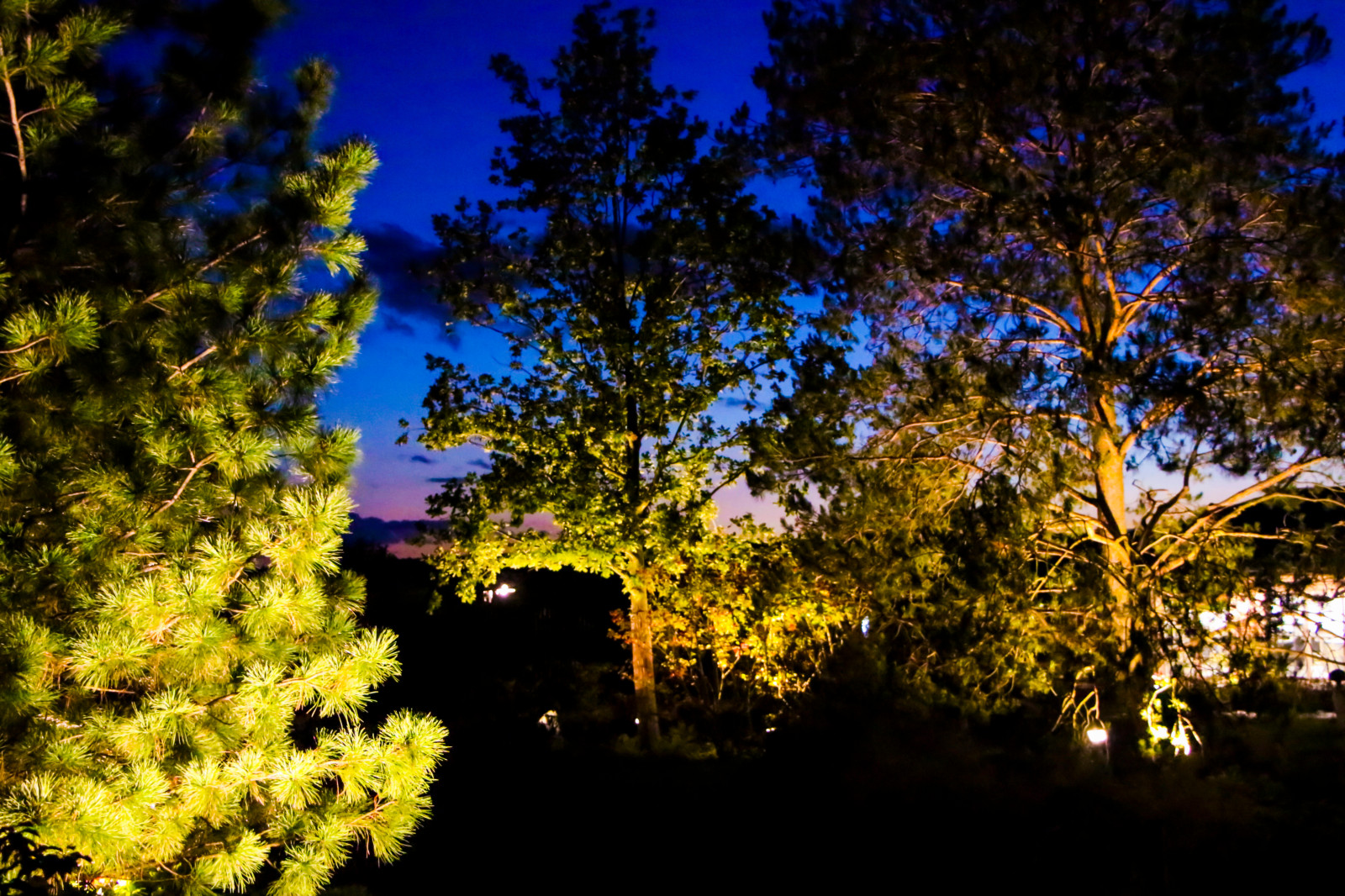 Горки-10, ночной сад, 2017-2020 гг.