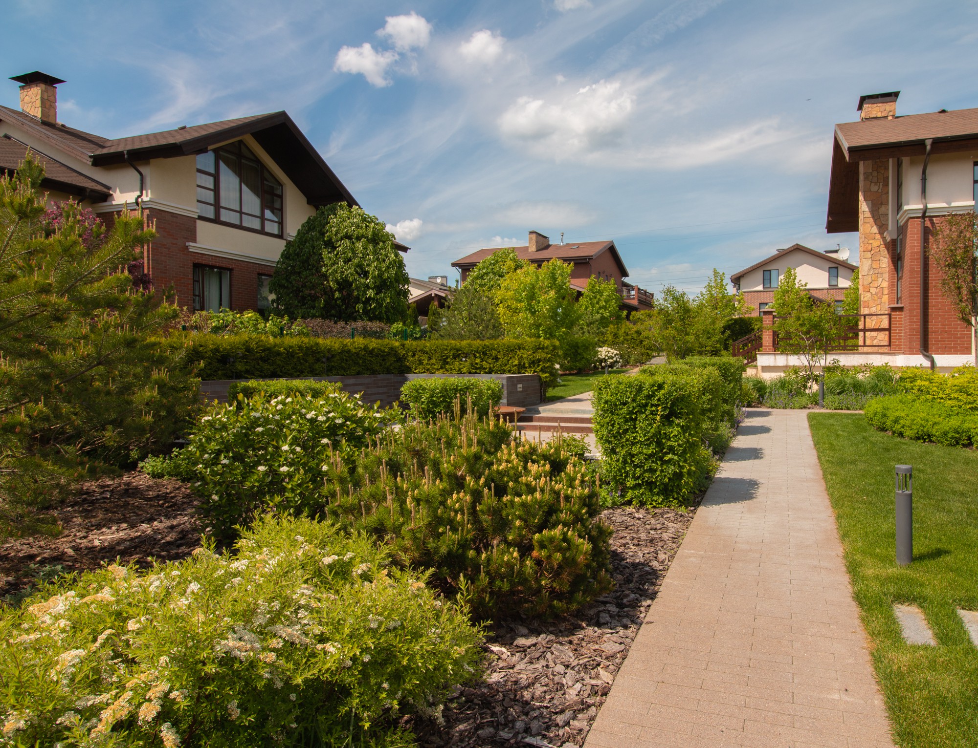 Опушкино_2019