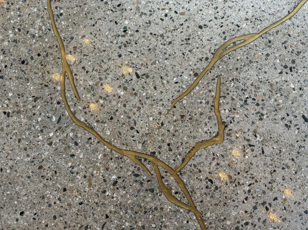 Japanese Kintsugi Polished Concrete